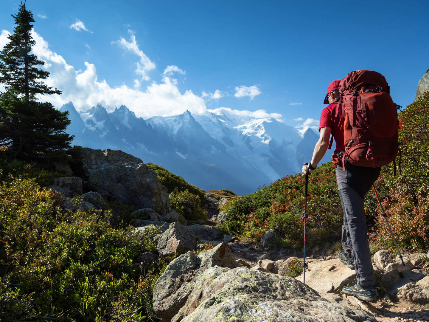 Tour Du Month Blanc Hiking Trail