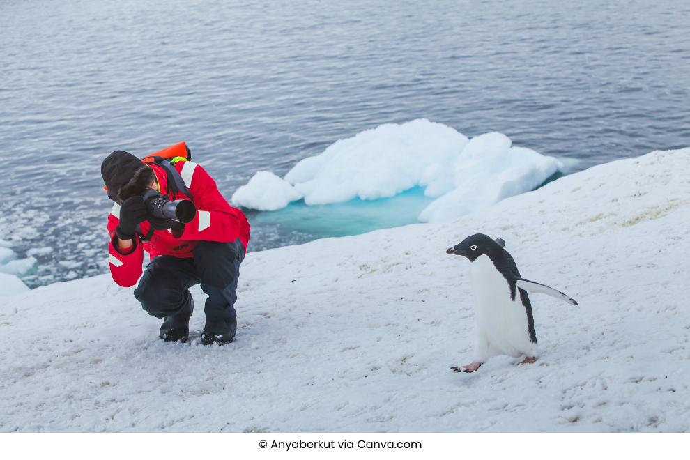 Antarctic Peninsula